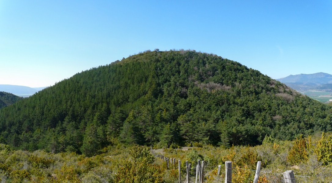 Chaparral mendia (690m)