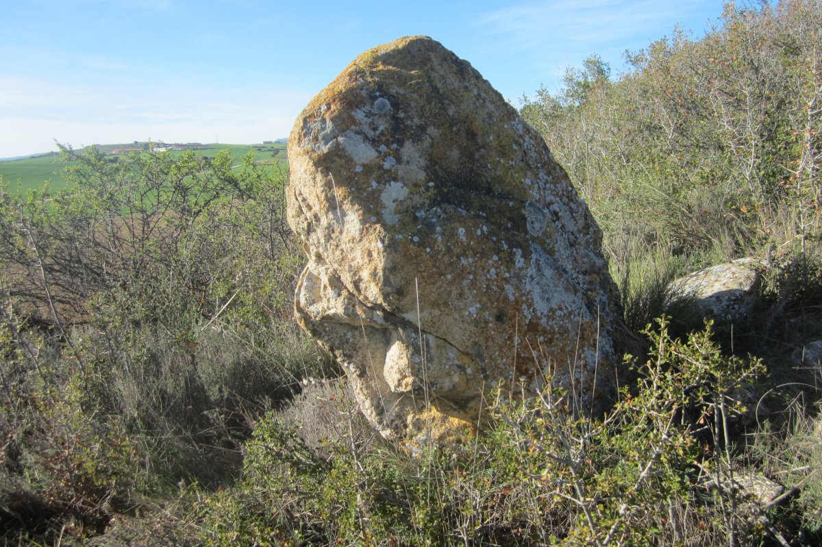 Monolito Lauzola   (Abril  2017)