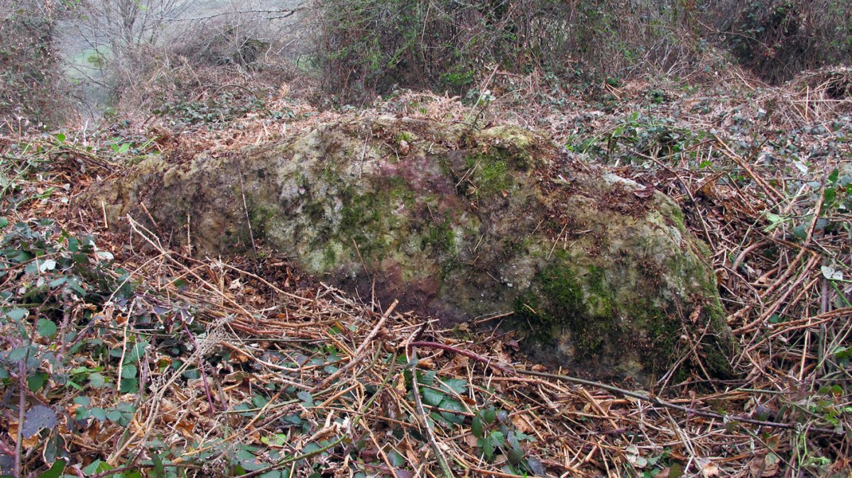 Ibiaga trikuharria, Orbaizeta