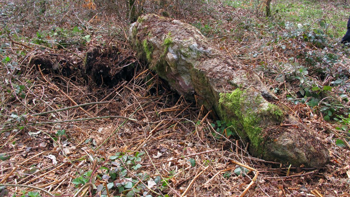 Ibiaga trikuharria, Orbaizeta