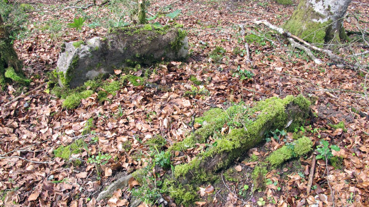 Anbulolatz trikuharria, Orbaizeta