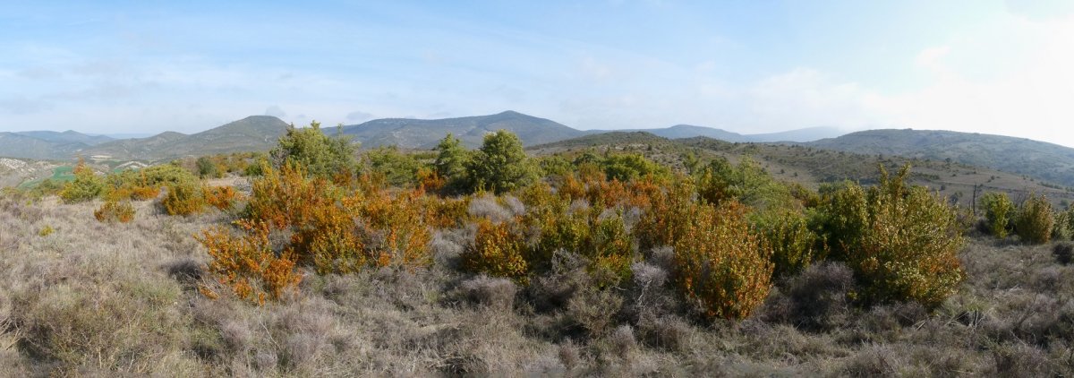 Sombras gaineko gailurra