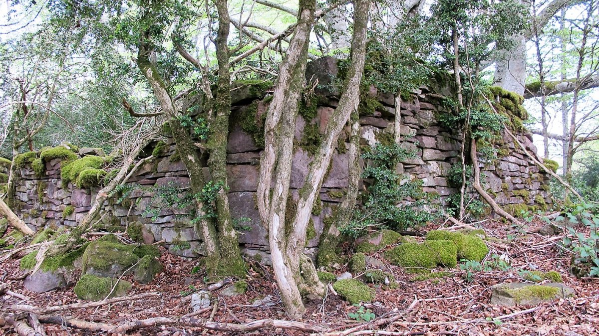 San Markos ermitaren hondakinak, Garaioa