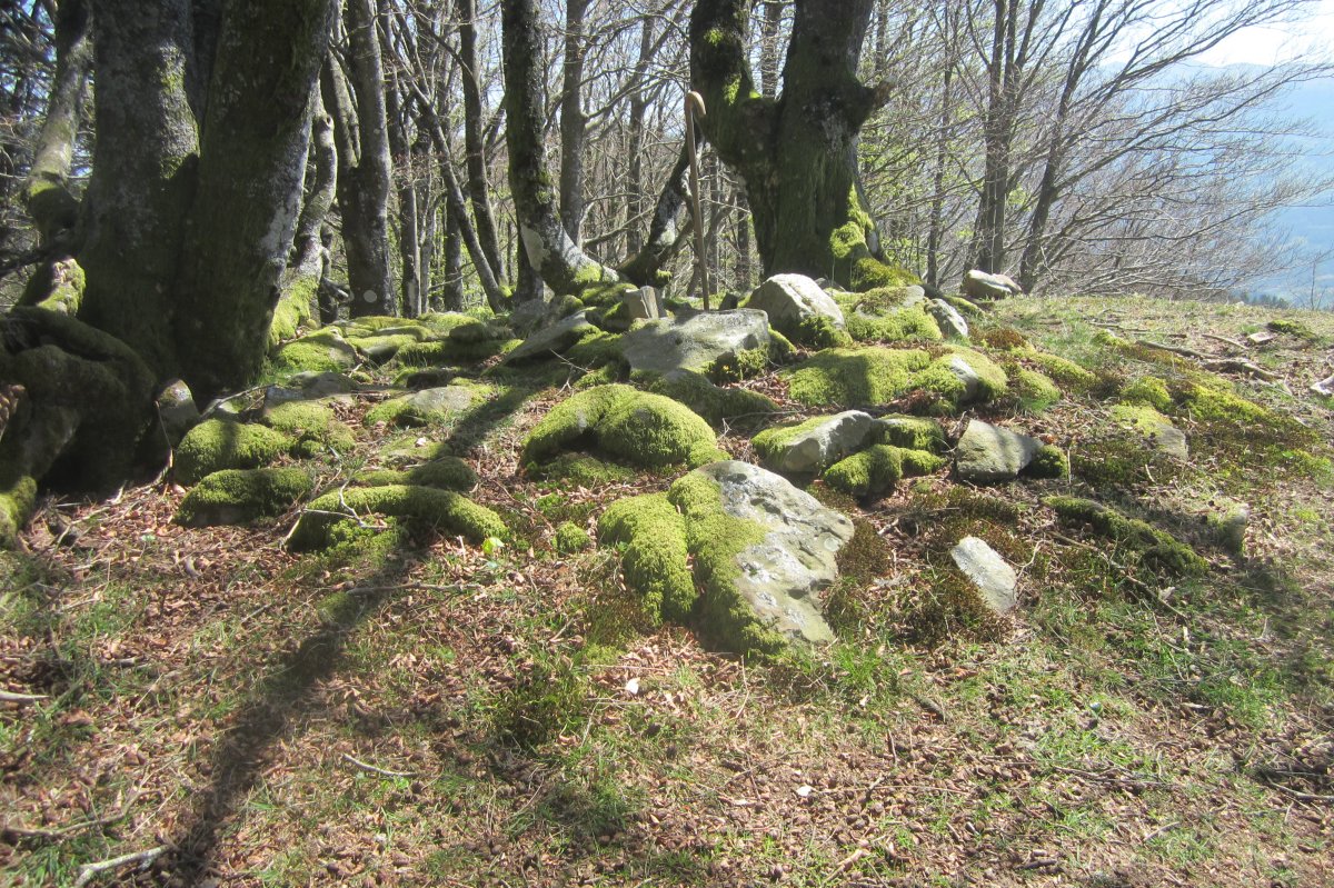 Túmulo Oregi  ( Abril  2017)