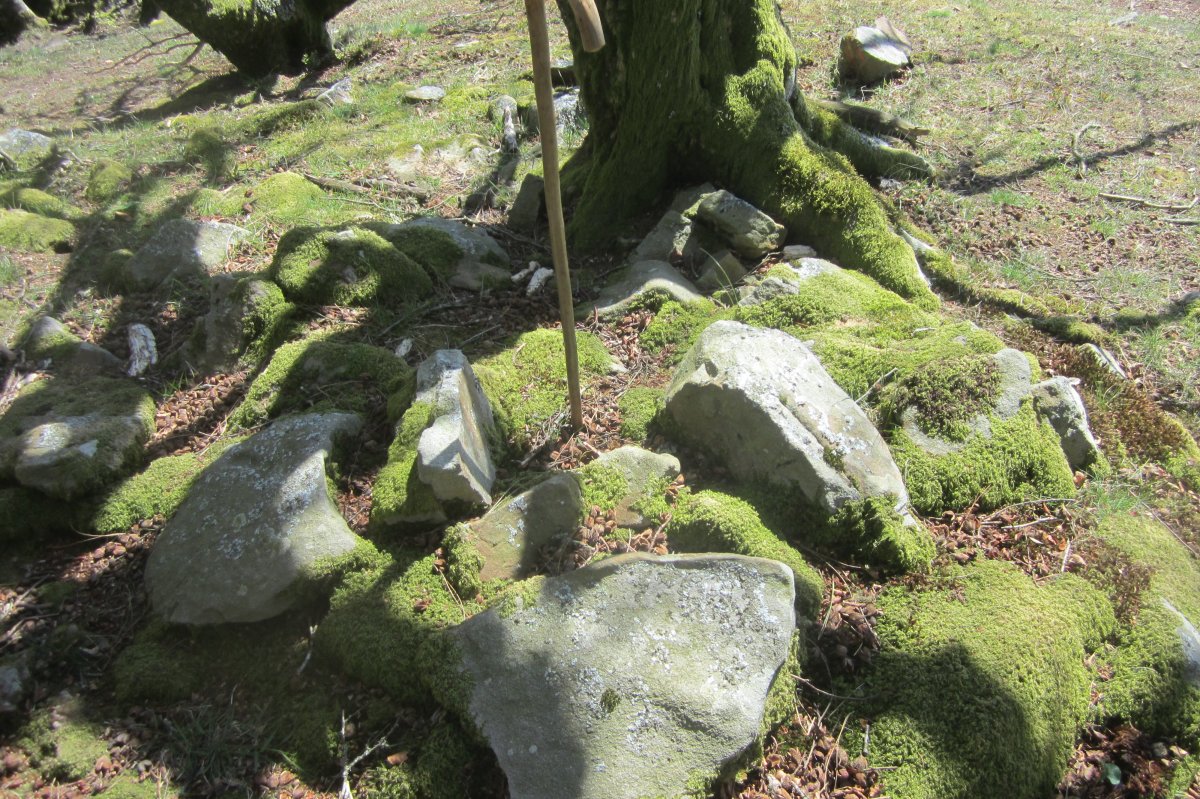 Túmulo Oregi  ( Abril  2017)