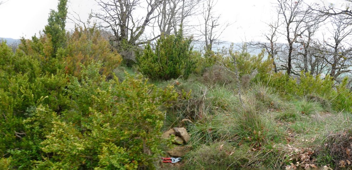 Aiako mendebaldeko gailurra (Sansurdi izenekoa)