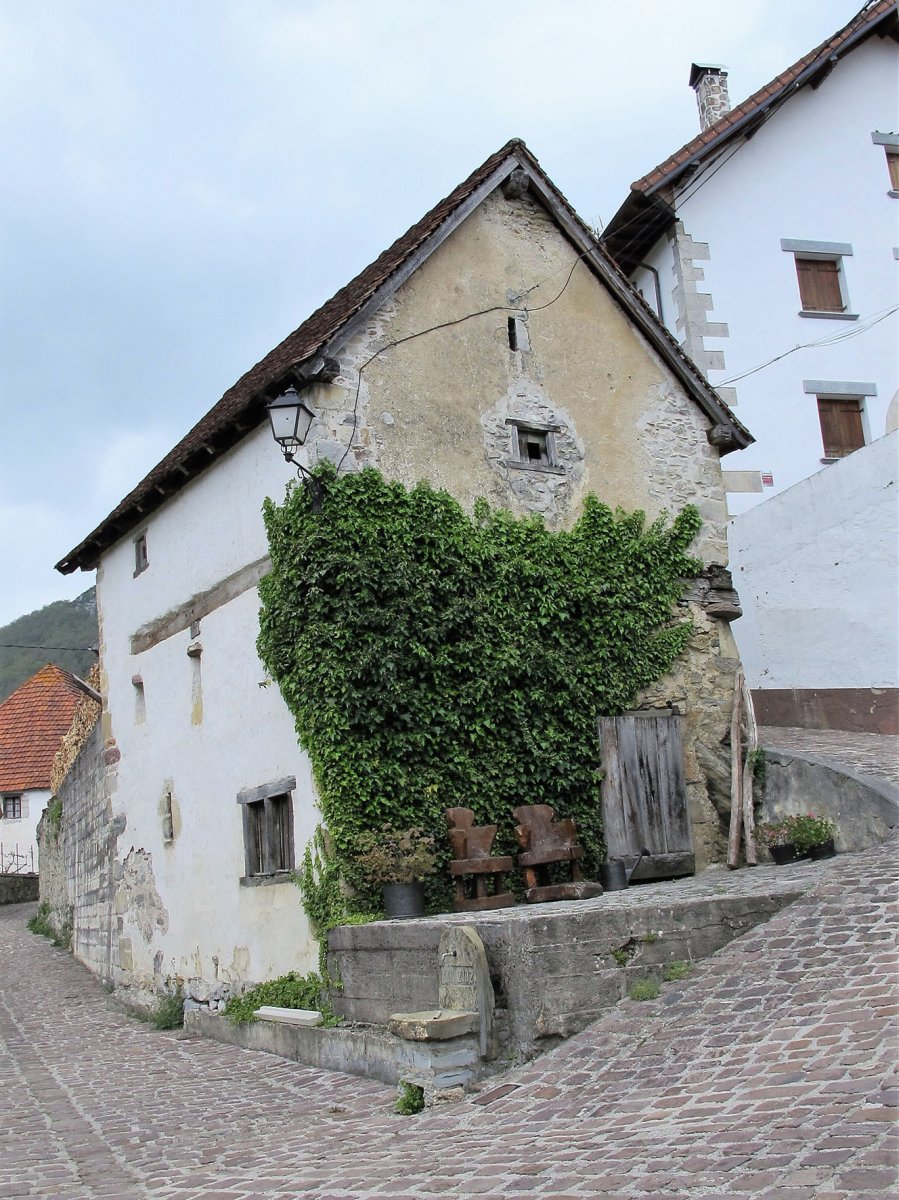 Domentx garaia, Aribe