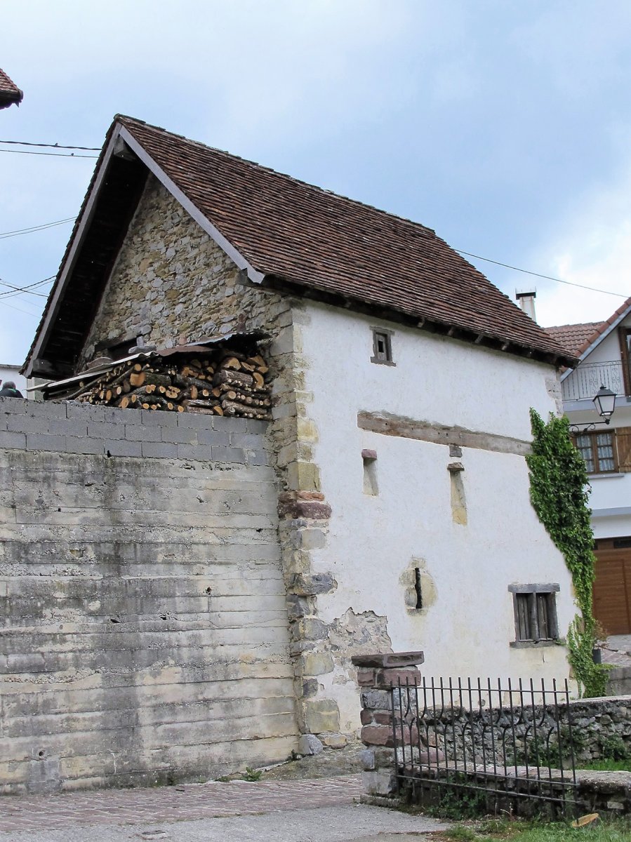 Domentx garaia, Aribe