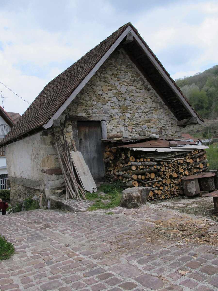 Domentx garaia, Aribe