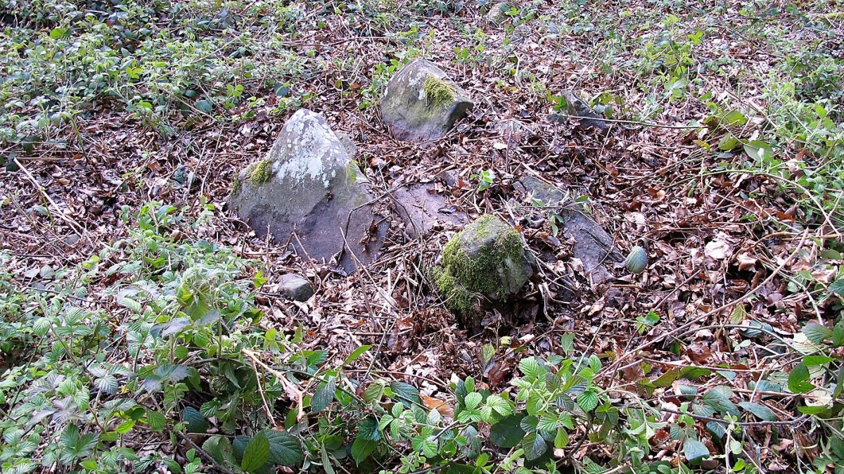 Akabakar trikuharria, Garaioa