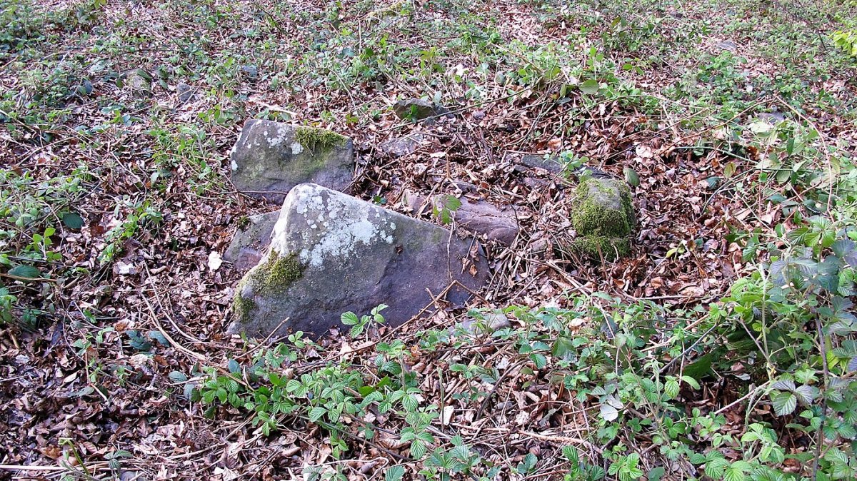 Akabakar trikuharria, Garaioa