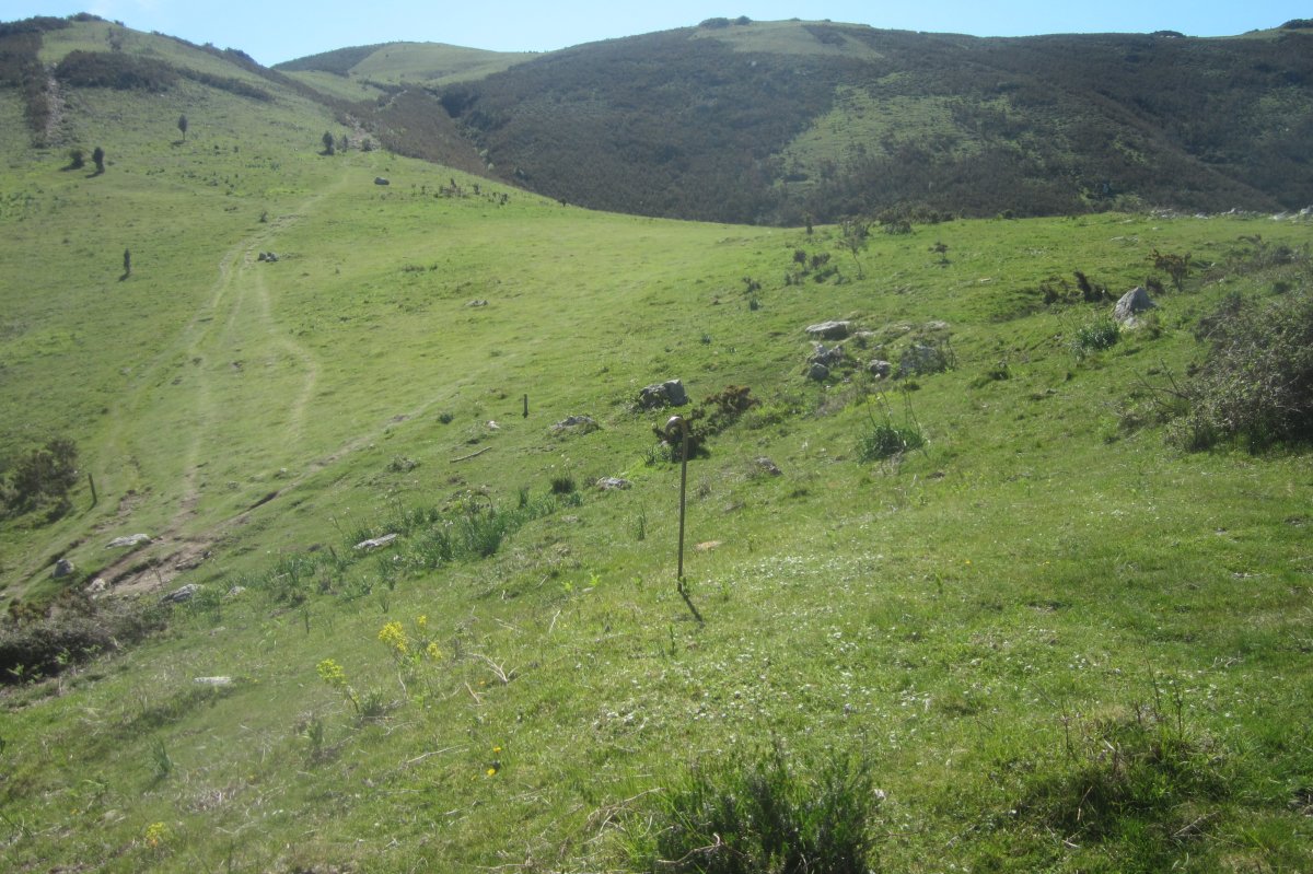 Fondo de Cabaña Faalegi (Abril 2017)