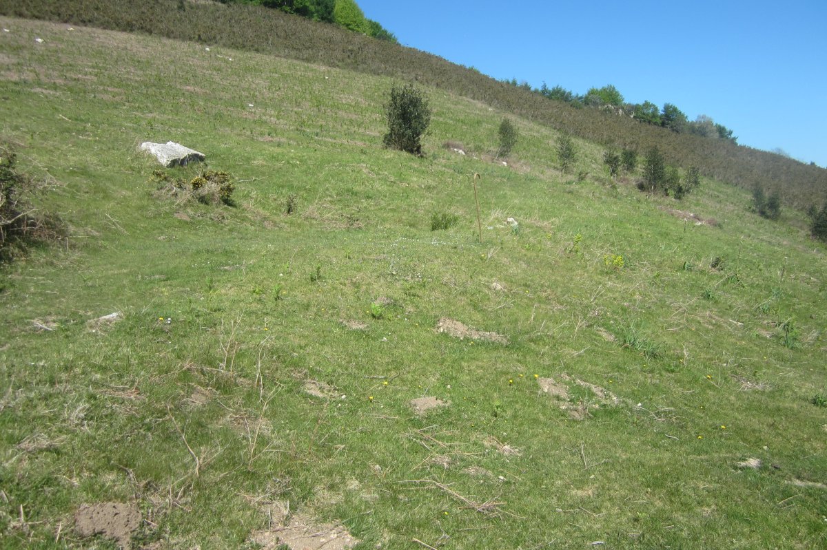 Fondo de Cabaña Faalegi (04-2017)