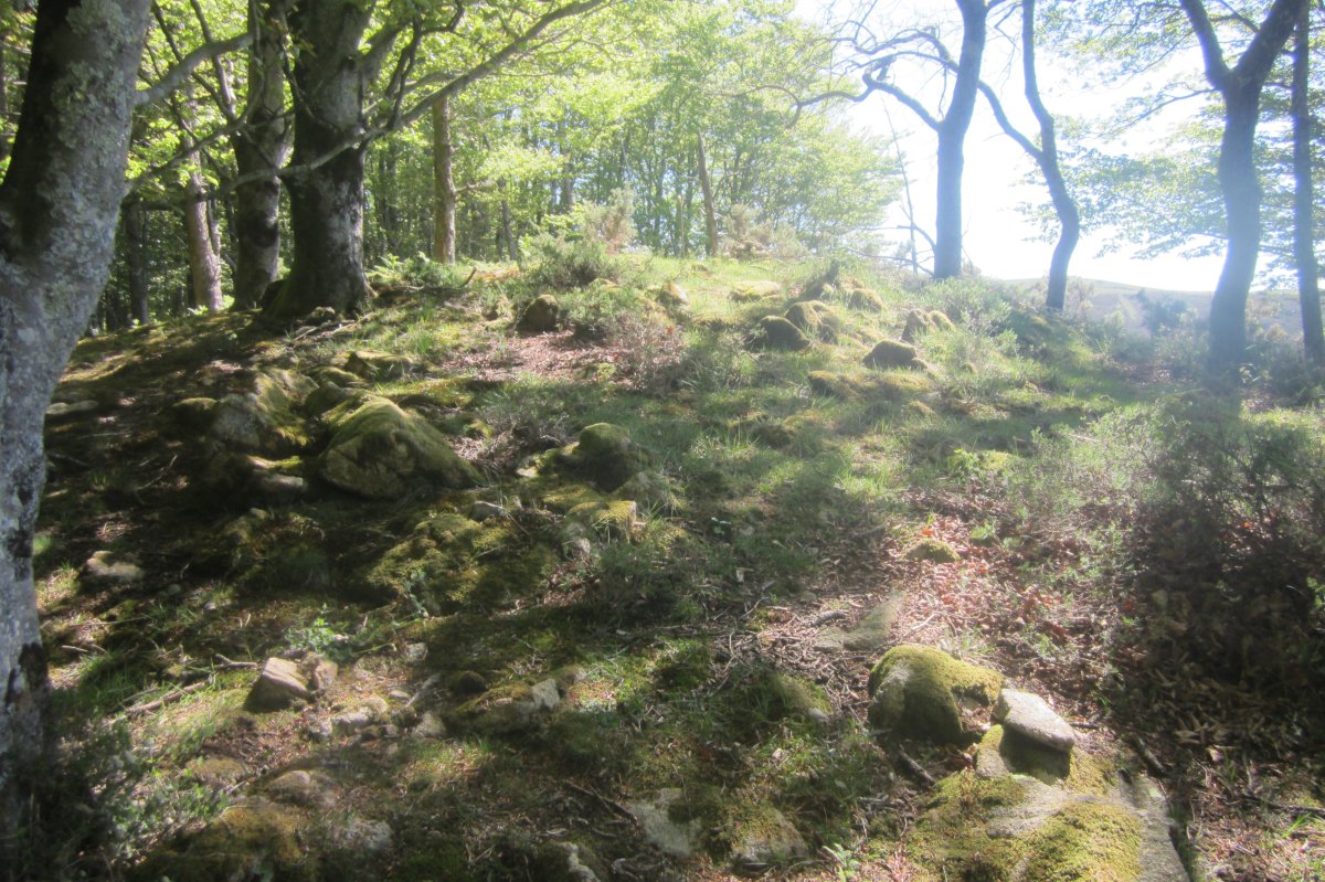 Túmulo Faalegi (04-2017)