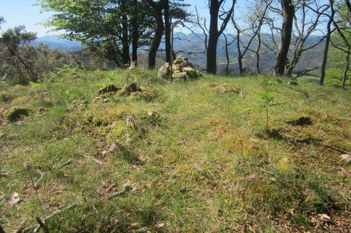 Túmulo Faalegi (04-2017)