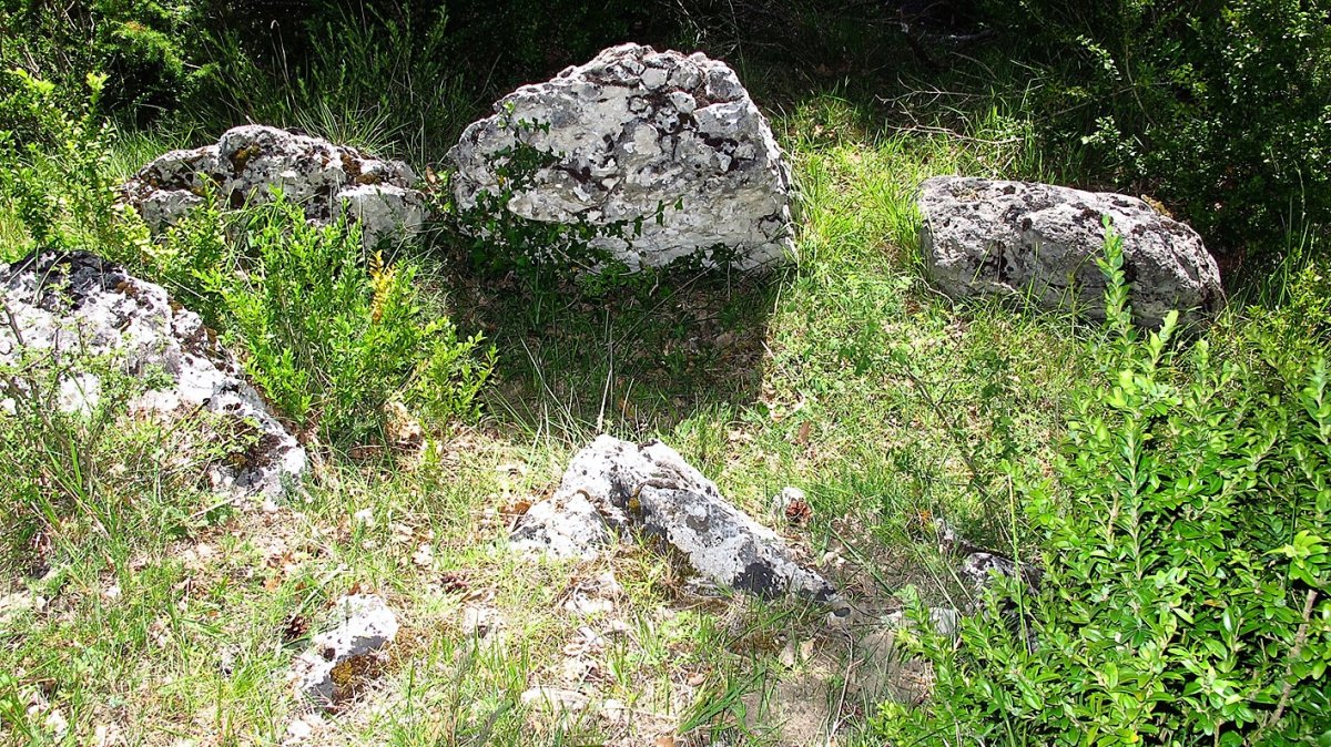 Aranketa trikuharria, Zuntzarren-Lizoanibar