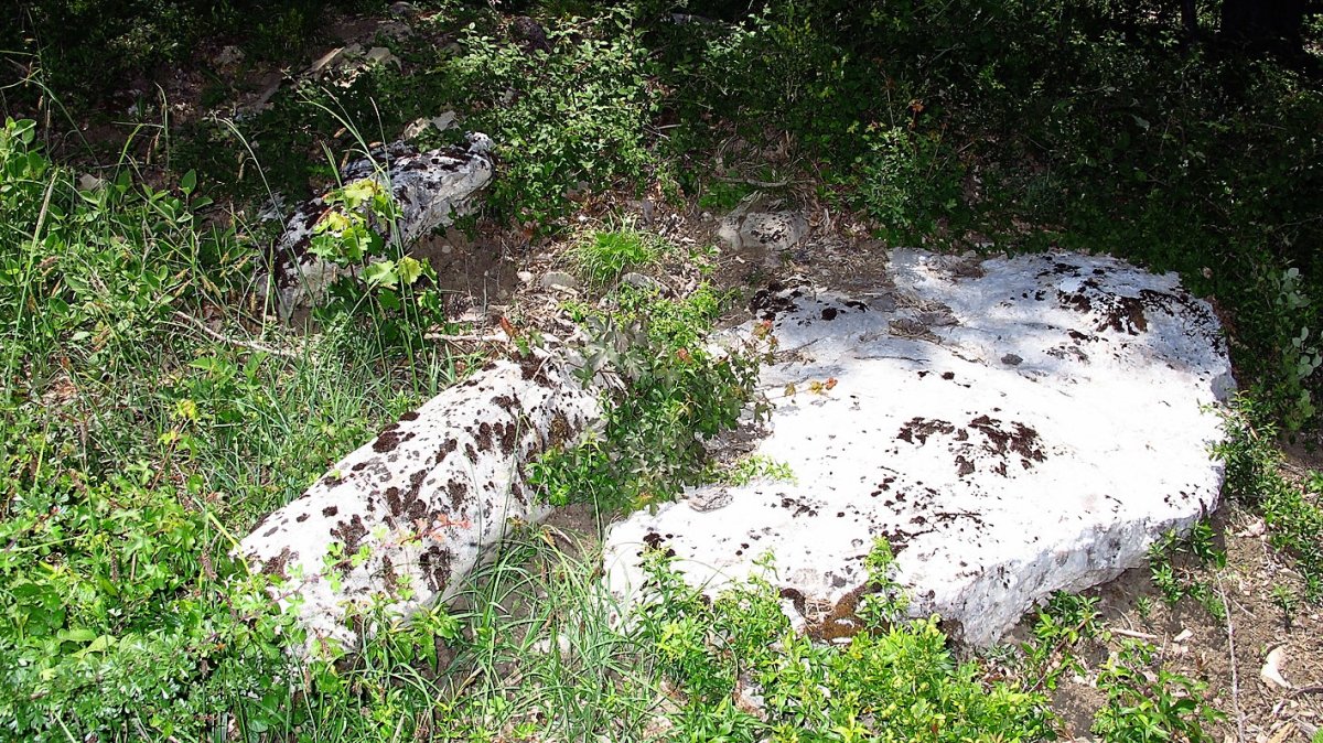 Kabilarte trikuharria, Zuntzarren-Lizoanibar