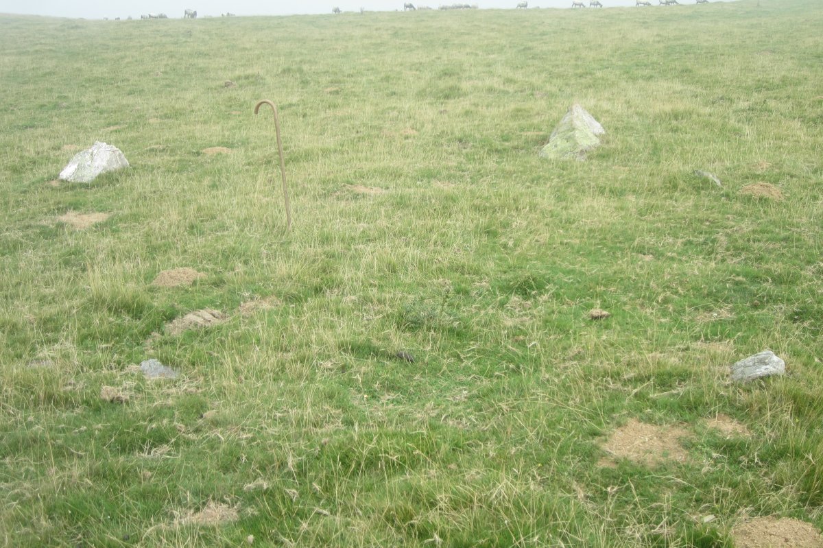 Cromlech Urdanarre Ipar (Julio 2017)