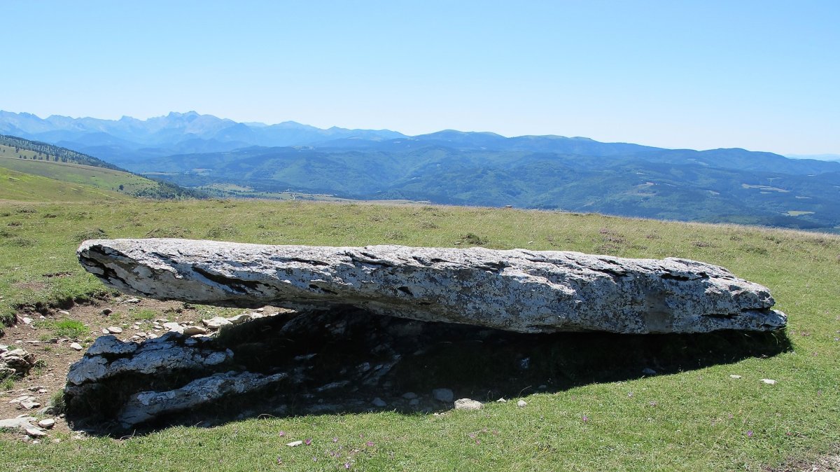 Arrizabala zutarria, Otsagabia