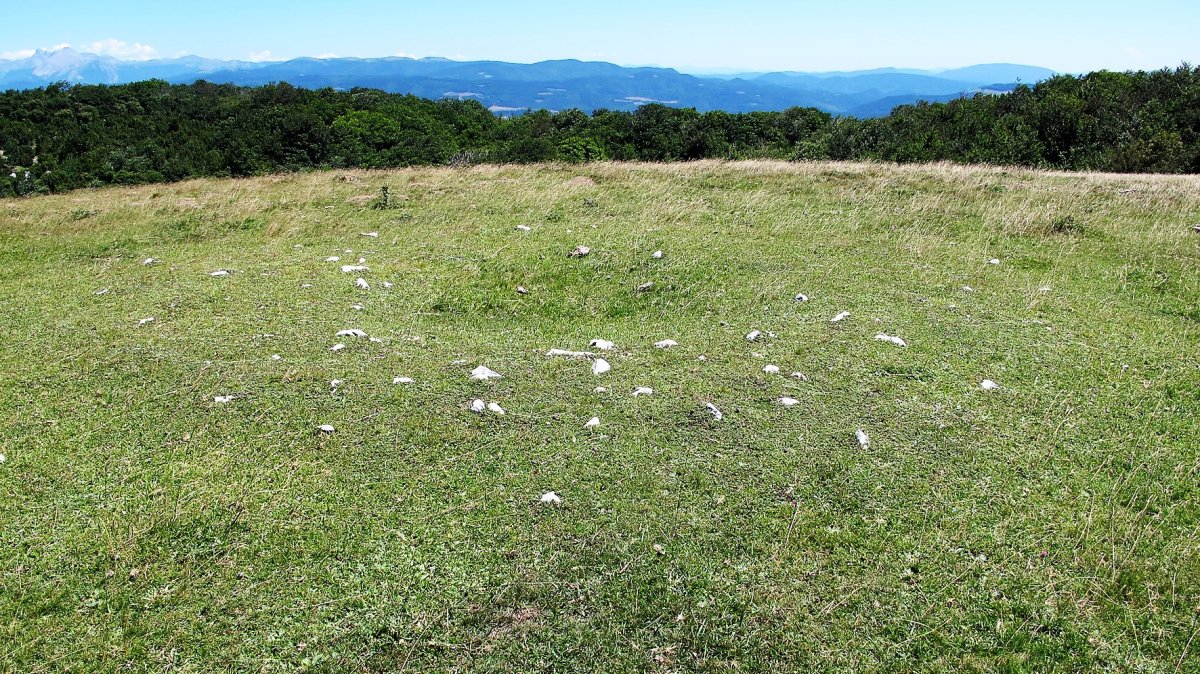 Bizkarrandi tumulua, Otsagabia