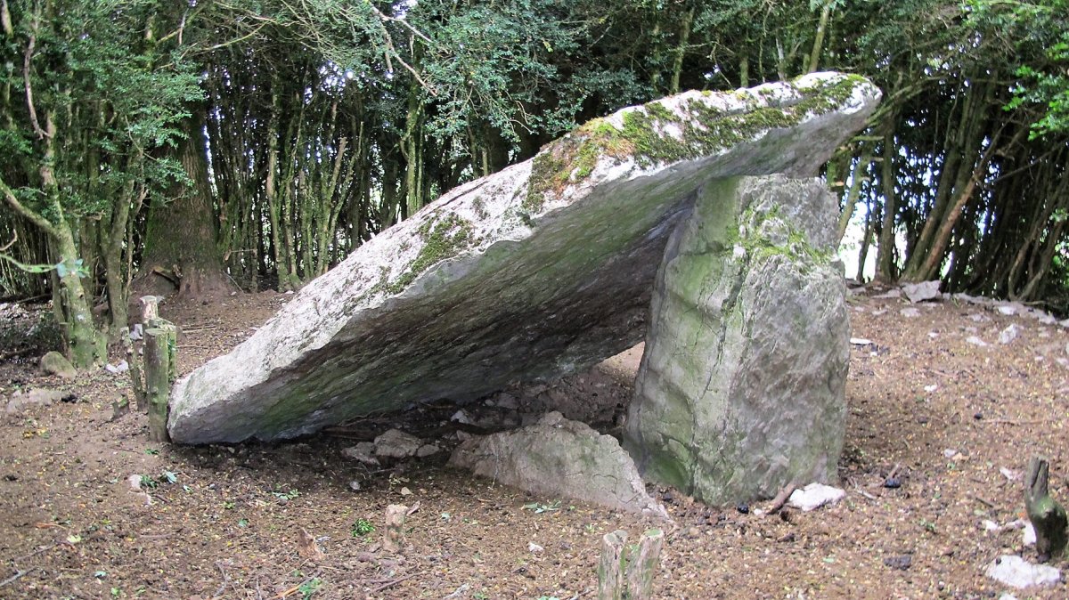 Landabizkarra trikuharria, Otsagabia