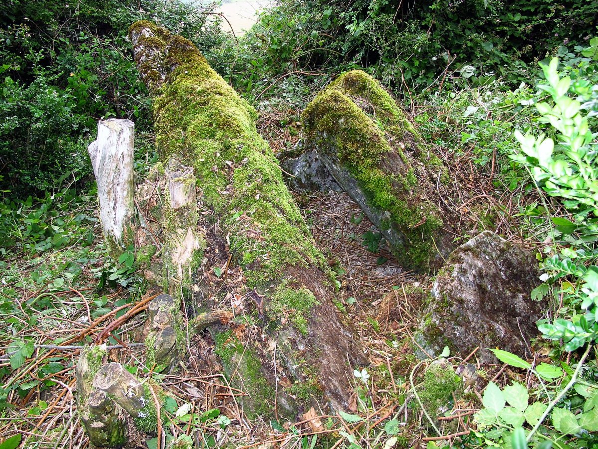 Larburua trikuharria, Otsagabia