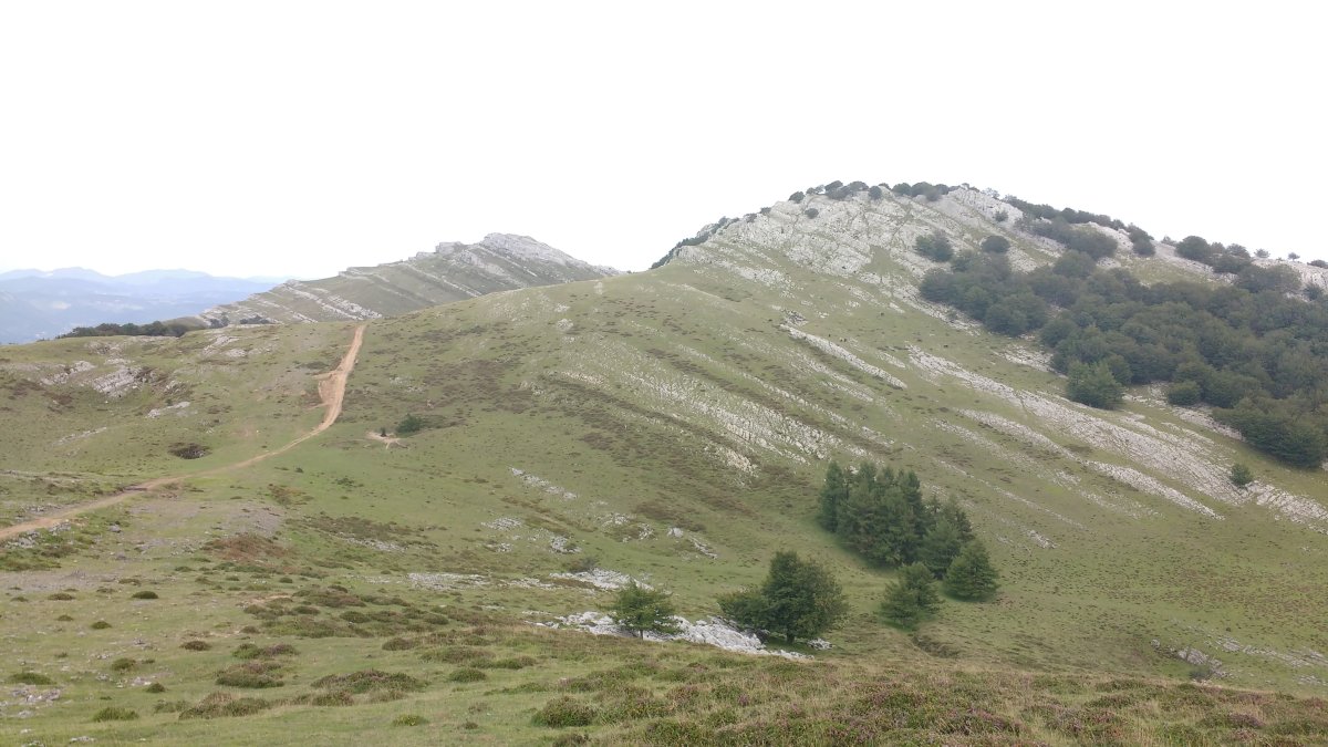Aranguren eta Elorreta Arlutzetik