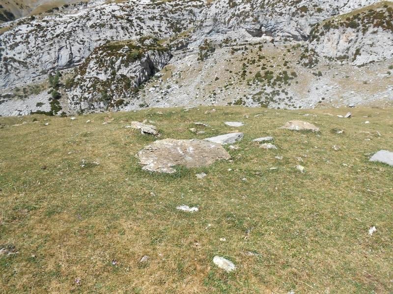 Lecherín Bajo trikuharria