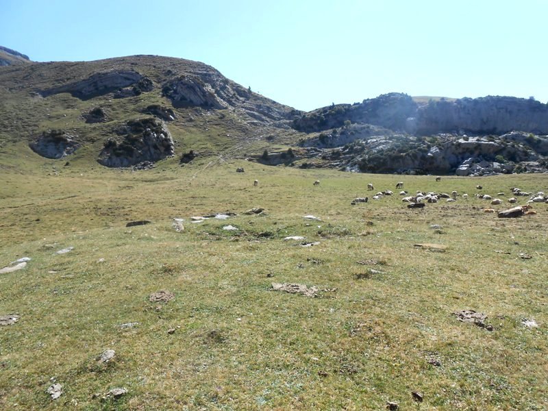 Lecherín Bajo trikuharria