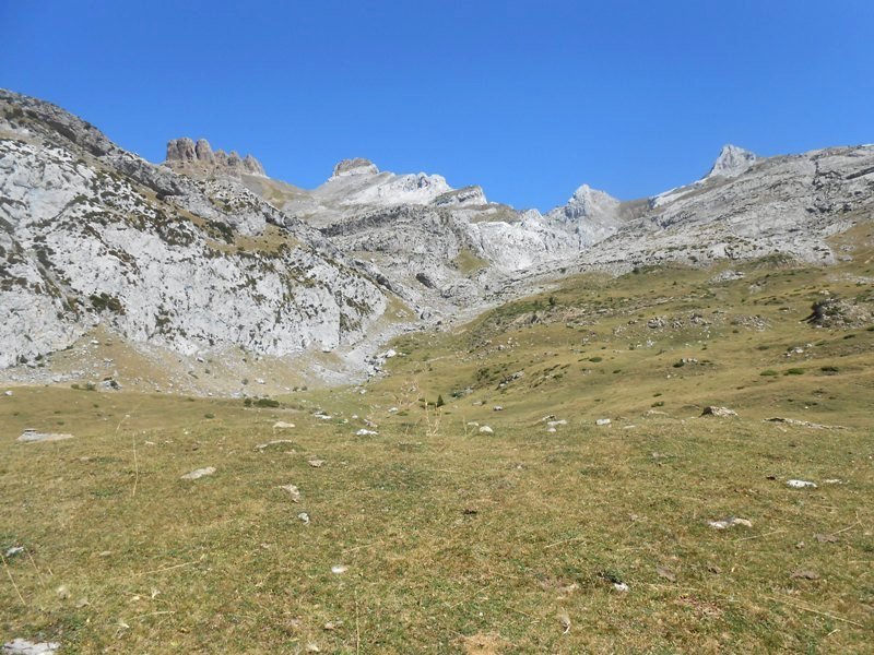 Lecherín Bajo trikuharria