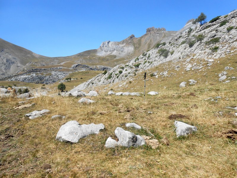 plano de la balsa harrespila