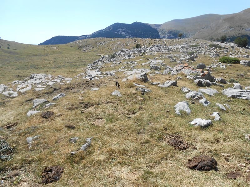 plano de la balsa harrespila