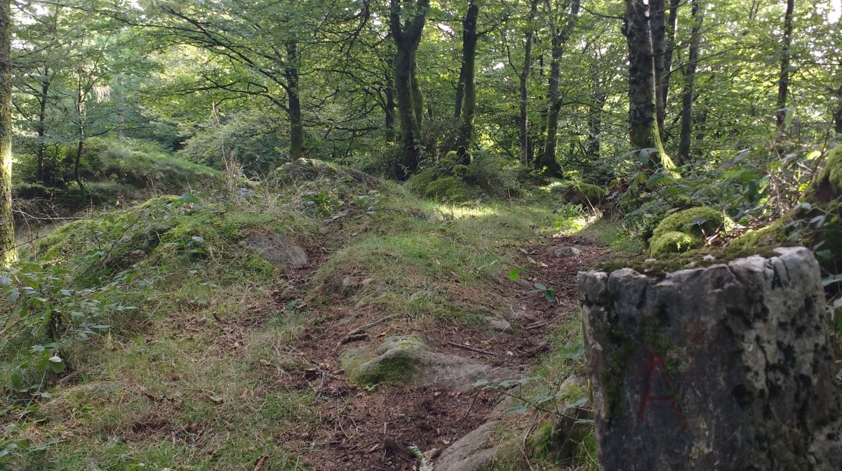 Elosumendi Mugarria Azkoitia-Bergara