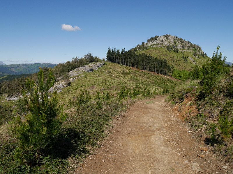 Bikotzganetik hurbiltzen den bidetik ikusita