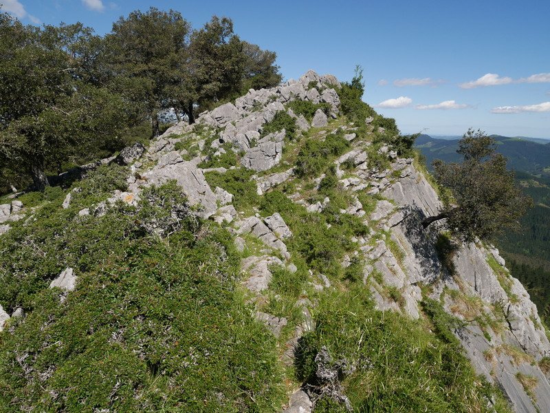 Hego-ekialdeko gandorra