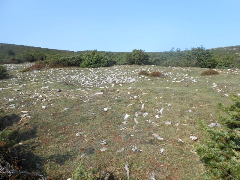 Lauzola eraztun-tumulua