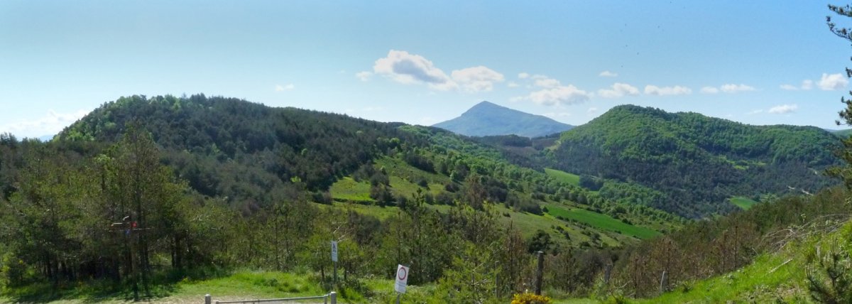 Elutsmendi eta Lakidain Aritzkotik