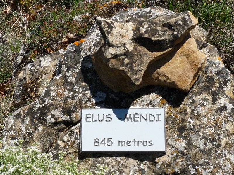 Plaka txikia gailurrean 