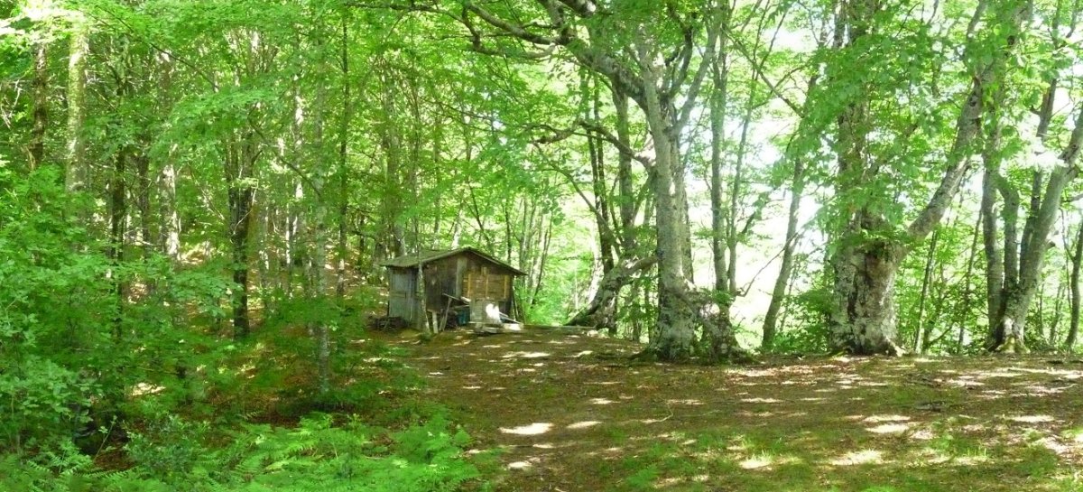 Matxinbarreneko borda