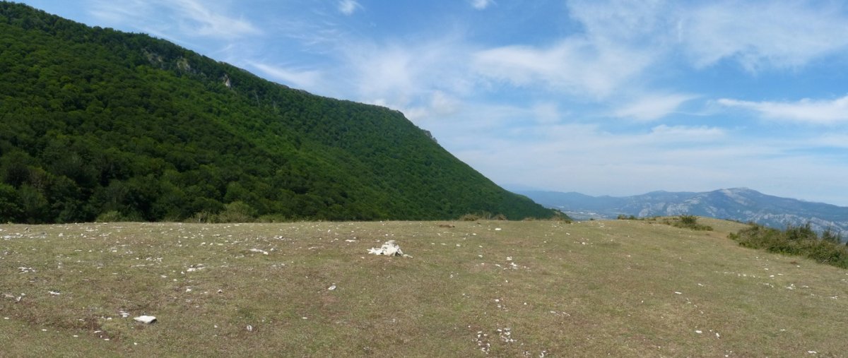 Baltsa gaineko gailurra