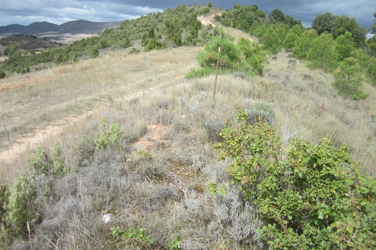 Túmulo San Quílez (Septiembre 2017)