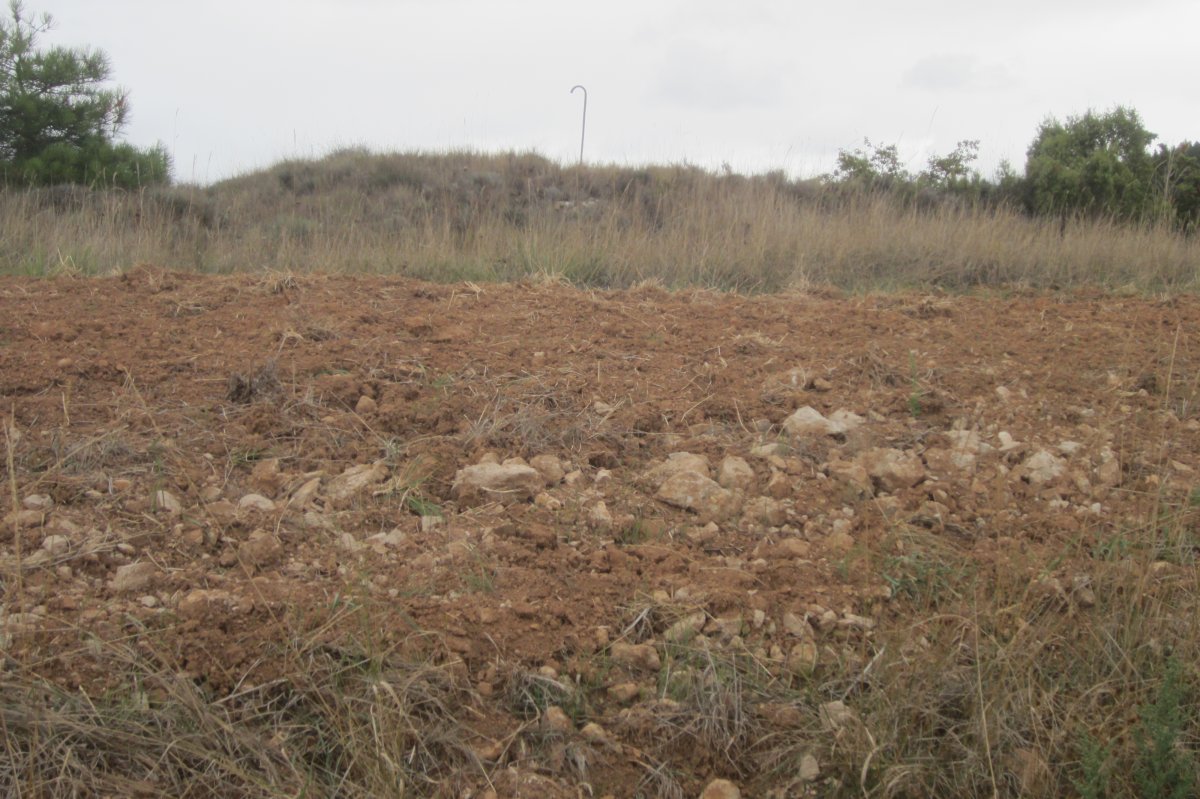 Túmulo San Quílez (Septiembre 2017)