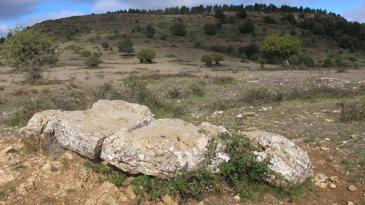 Raso de Biloria zutarria, Biloria-Lana