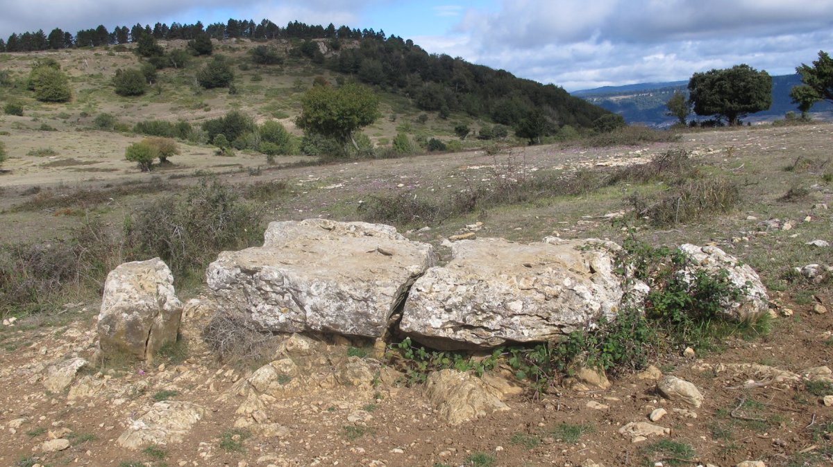 Raso de Biloria zutarria, Biloria-Lana