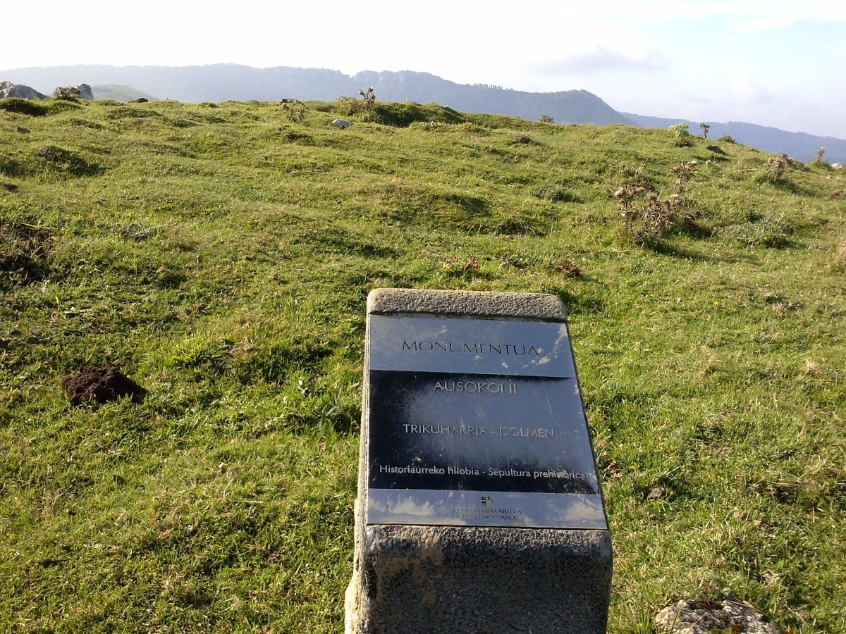 Ausokoi II trikuharria (2017)