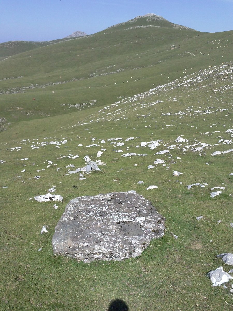 Irazustako lepoa zutarria 3