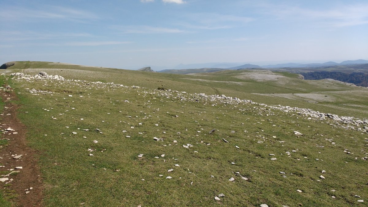 Beriain aldeko zelaia