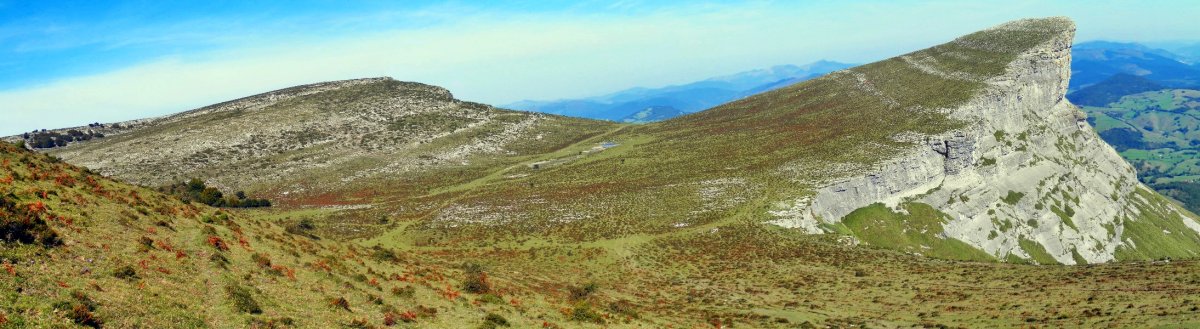 Ungino. Ezkerrean, Eskutxi