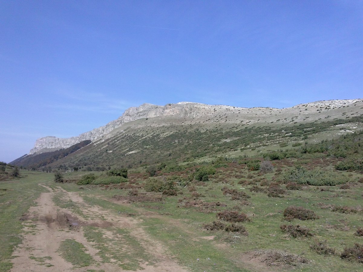 Beriain Lezizako mendartetik