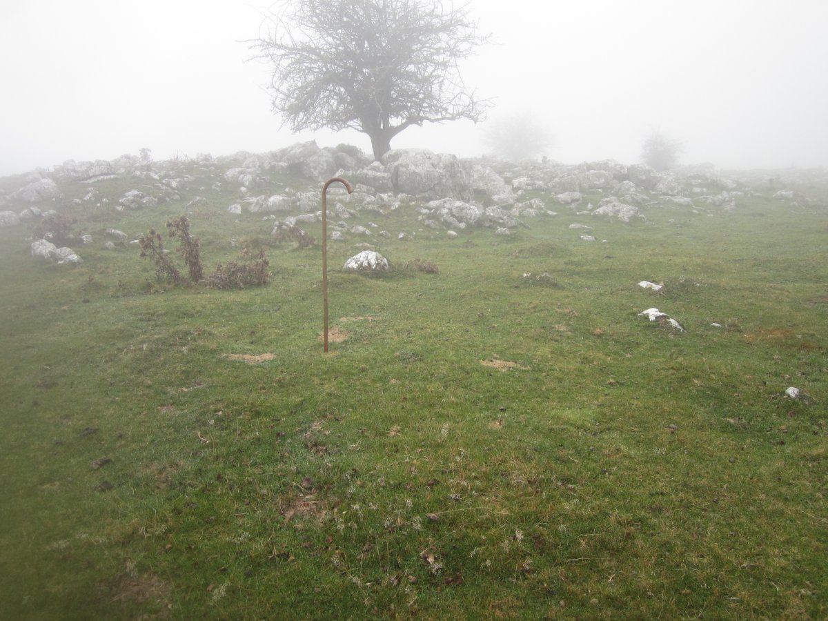 Cromlech Igaratza II c (Noviembre 2015)